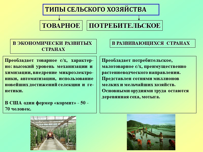 ТИПЫ СЕЛЬСКОГО ХОЗЯЙСТВА ТОВАРНОЕ ПОТРЕБИТЕЛЬСКОЕ В ЭКОНОМИЧЕСКИ РАЗВИТЫХ  СТРАНАХ В РАЗВИВАЮЩИХСЯ СТРАНАХ Преобладает